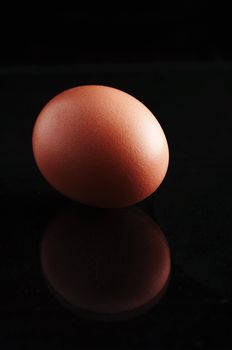 Isolated egg