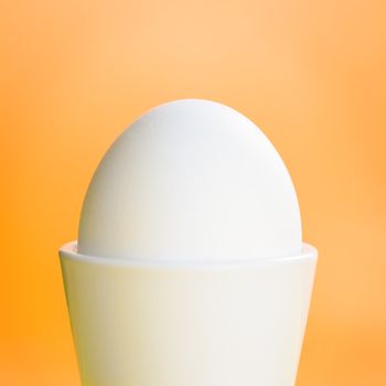 Boiled egg standing on the orange background