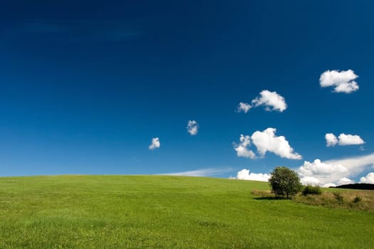 Summer abstract landscape with small white clouds and tree