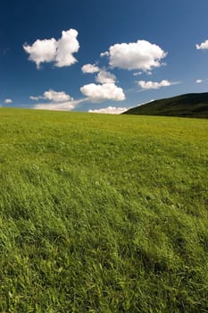 Summer abstract landscape with small white clouds