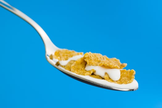 Corn flakes on the spoon with milk over a blue background