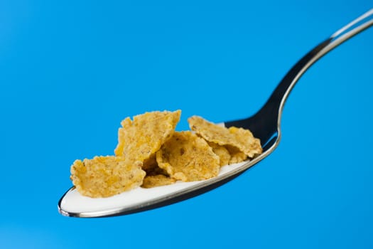 Corn flakes on the spoon with milk over a blue background