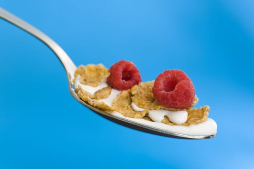 Corn flakes on the spoon with milk over a blue background