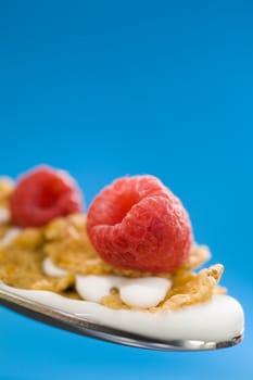 Macro of corn flakes on the spoon with milk over a blue background