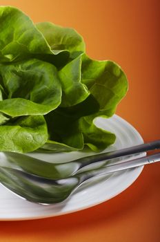 Salad plate with big fork and spoon on orange table