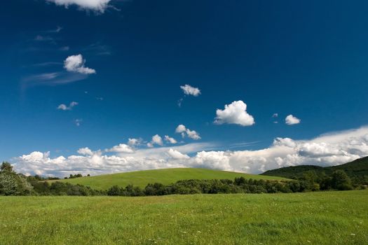 Summer  landscape with cumulus and green meadows