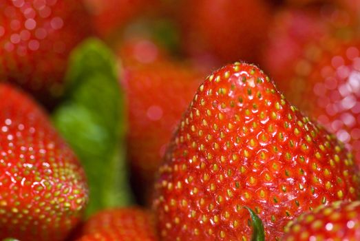 Close up shot of strawberries filliing the frame