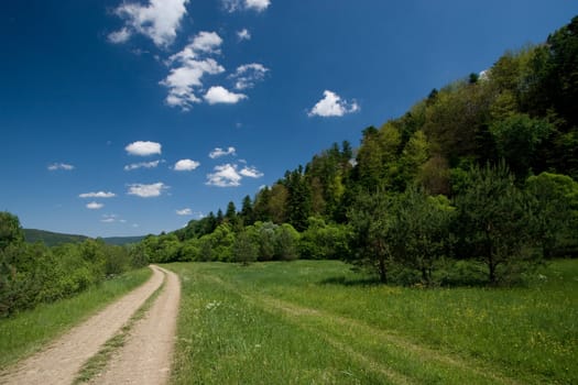 Countryside road in the forest with white clouds