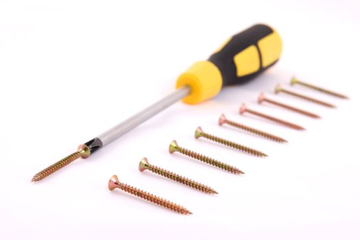 isolated screwdriver with many screws in line 