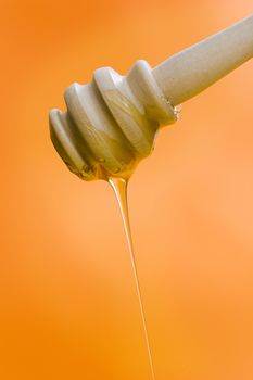 Wooden honey stick over a orange backgound