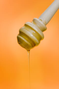 Wooden honey stick over a orange backgound