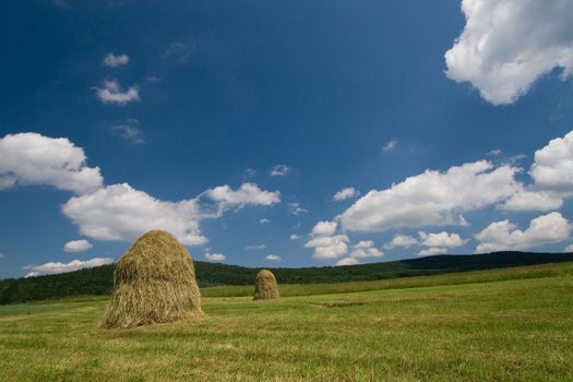 Two haycocks on the meadow and blue sky