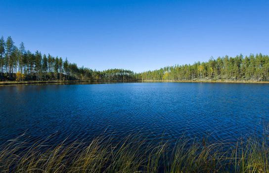 Autumn lake landscape from eastern part of Finland