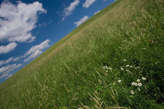 Abstract slanting green meadow against a blue sky