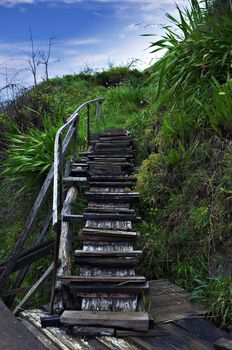 Levada stairs in Madeira