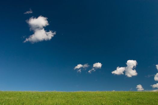 Green field and blue sky with cumulus clouds