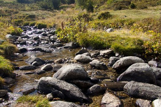 Rapid mountain brook - Pyrenees summer time. Andorra.