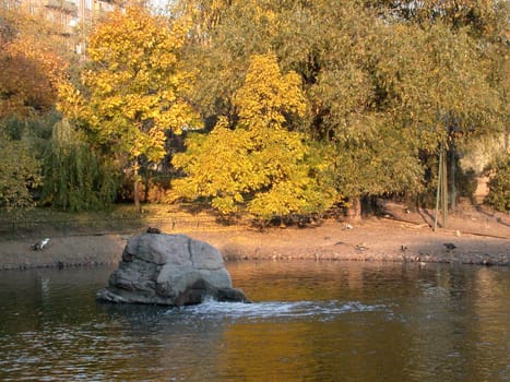 The autumn, river, sheet