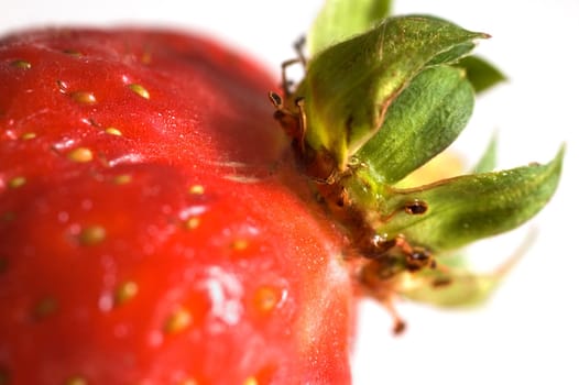 Macro shot of a strawberry on white background with very shallow depth of field