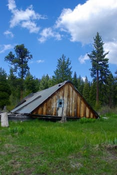 An old cabin in ruins in a high sierra meadow