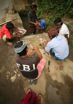 Young men dress a duck for wedding ceremony. Indonesia. Bali