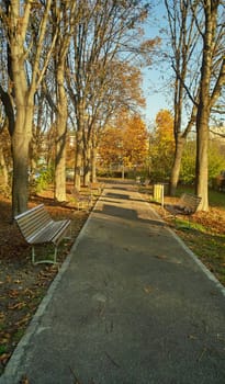 Picnic in the park, outing in the wood