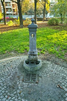 Picnic in the park