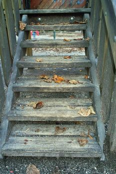 Wooden staircase, autumn leafs in the steps