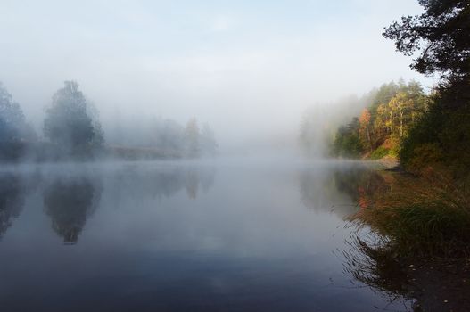 Morning mist along the river