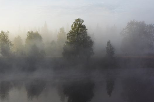 Morning mist along the river