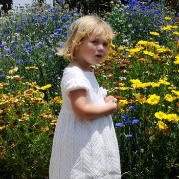 Little girl stands in front of a profusion of blue and yellow flowers, holding a leaf in her hands.