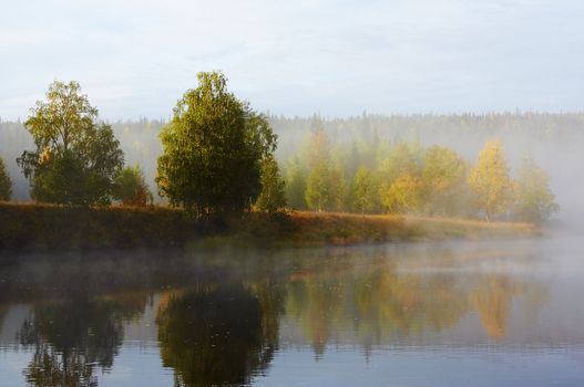 Morning mist along the river