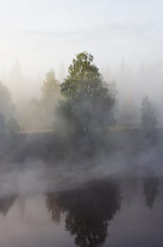 Morning mist along the river