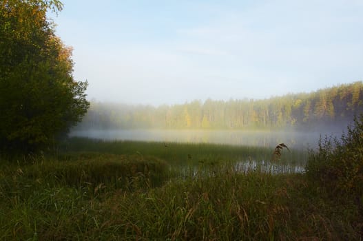 Autumn sunrise near forest lake 