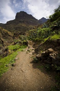 Lava rock mountain path at tenerife, spain