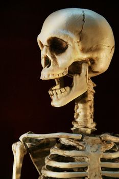 Halloween skeleton against a dark background