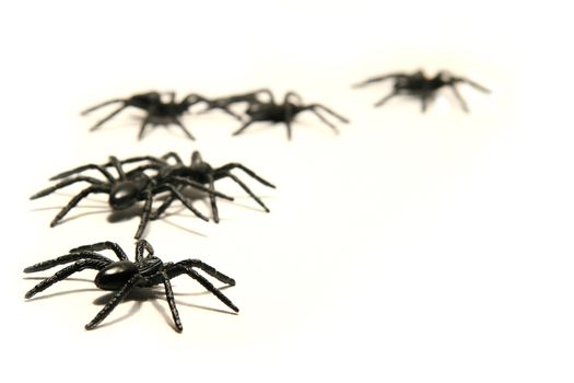 Halloween spiders on a white background