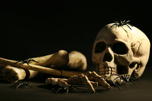 Halloween skull and bones with dark background