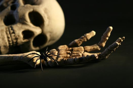 Scary skeleton on the ground