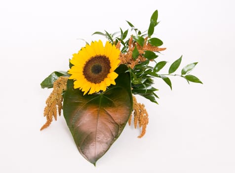 Summer decoration with sunflower with green and gold leafs