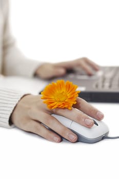 woman using a laptop