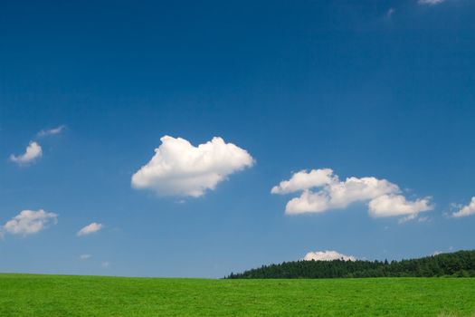 Green field and blue sky with cumulus clouds
