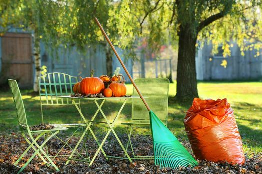 Pumpkins on the table with rake for an afternoon of raking leaves