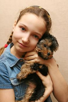 The girl embraces the puppy of the yorkshire terrier