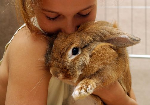 The girl plays with the rabbit