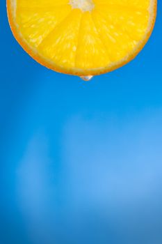 backlit orange slice over the blue background