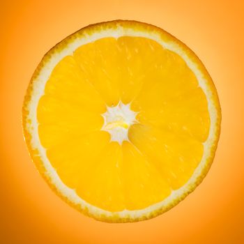 backlit orange slice over the graduated orange background