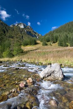 Autumn Landscape with stream in Tatra Mountains. 