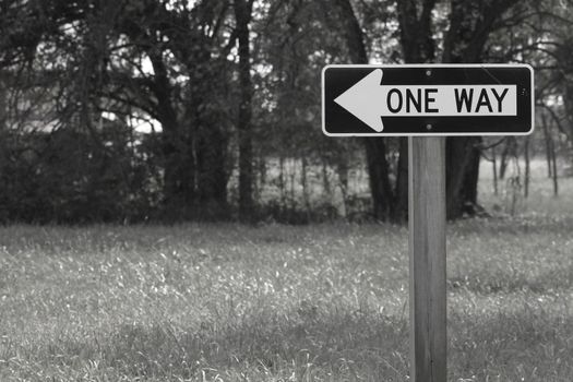 Directional sign points toward a path