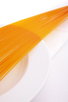 Long red (tomato) uncooked pasta over a white plate